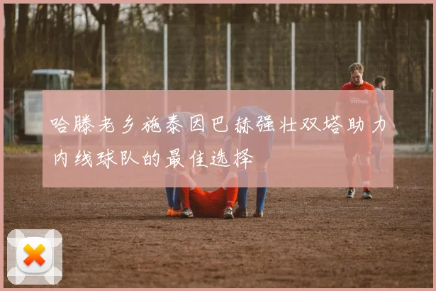哈滕老乡施泰因巴赫强壮双塔助力内线球队的最佳选择