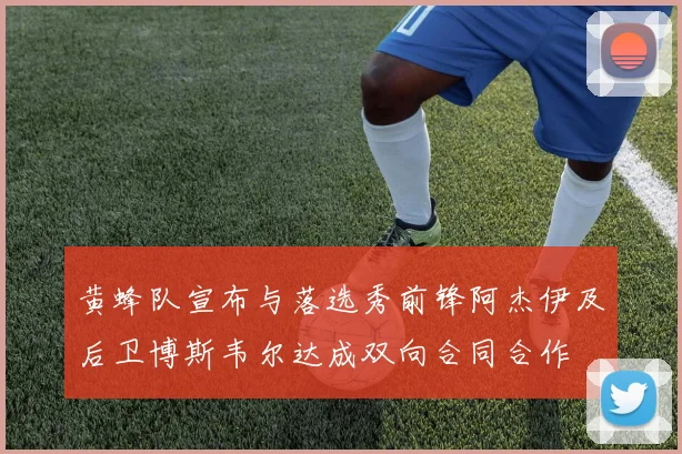 黄蜂队宣布与落选秀前锋阿杰伊及后卫博斯韦尔达成双向合同合作