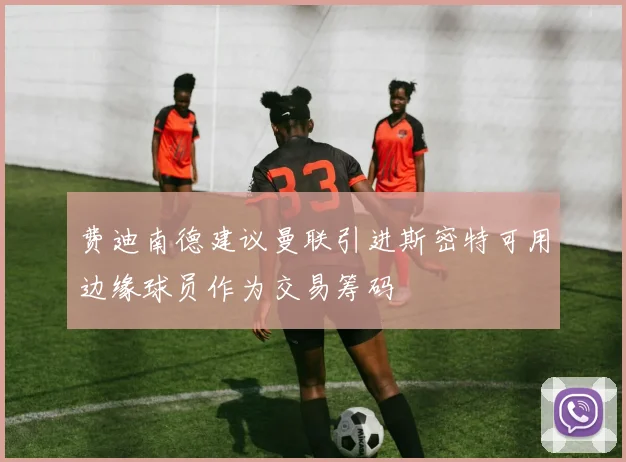 费迪南德建议曼联引进斯密特可用边缘球员作为交易筹码